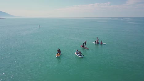 group of people stand-up paddleboarding