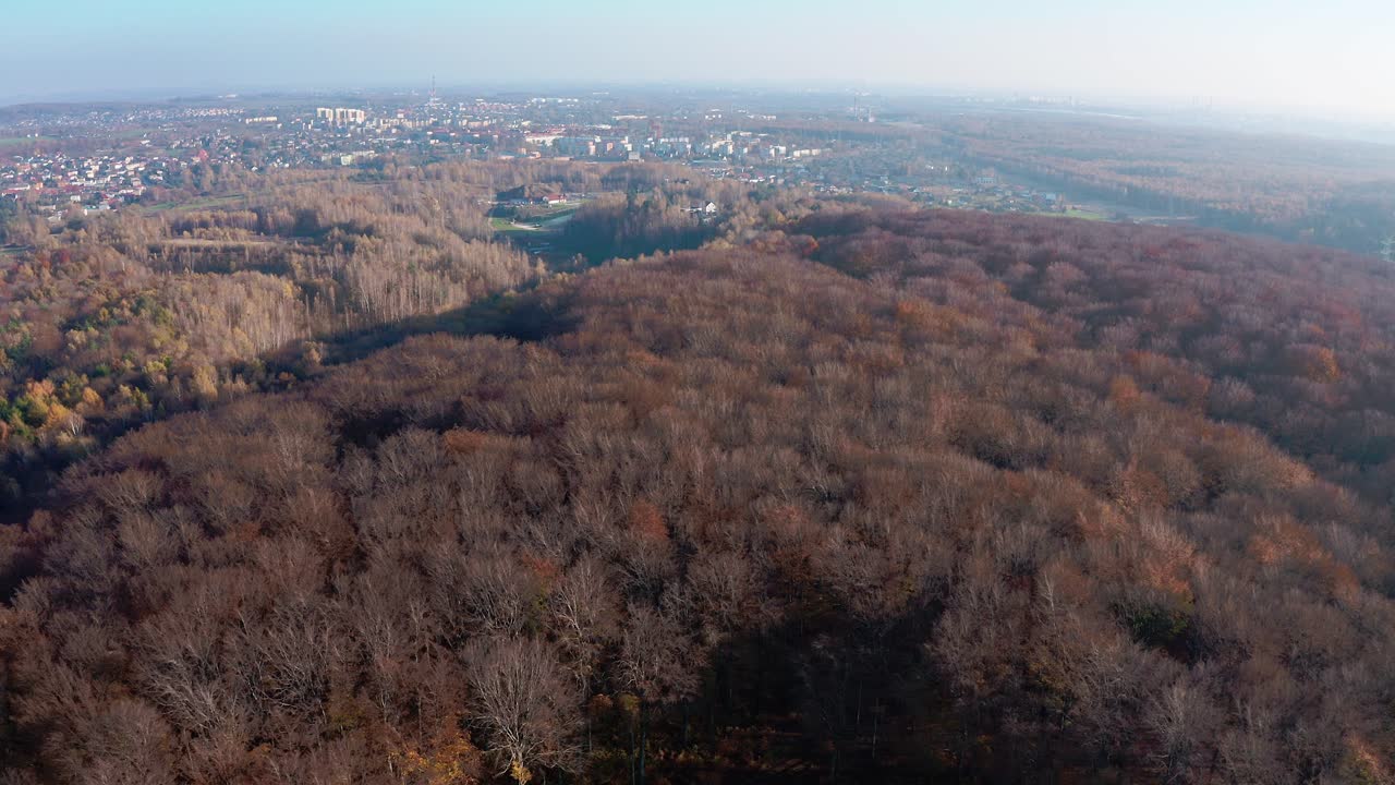 위에서 가을 숲 나무 꼭대기