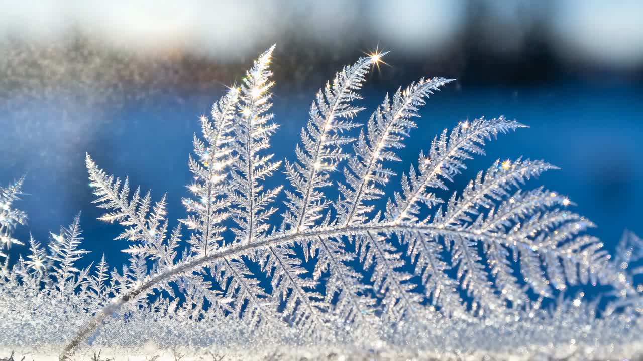Gnistrende bregnelignende isblomster på en glasrude fanger lavtstående sollys, hvilket skaber et kortvarigt glimt.