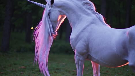 majestic white horse in twilight forest