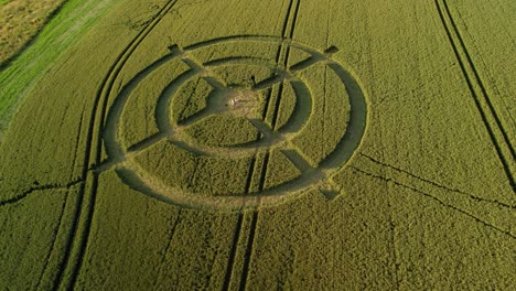 hackpen hill wheat field mysterious crop circle design in green furrow farmland aerial landscape view