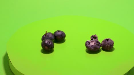 el almacenamiento de la descomposición del moho de cromakey aislado de los arándanos en mal estado