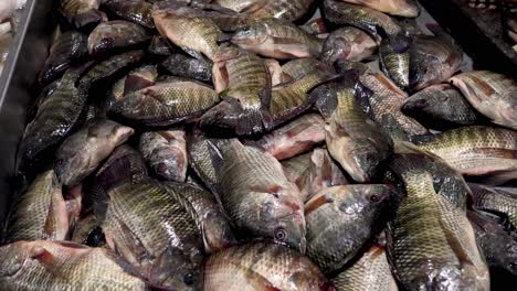 assorted fish being sorted on a market table