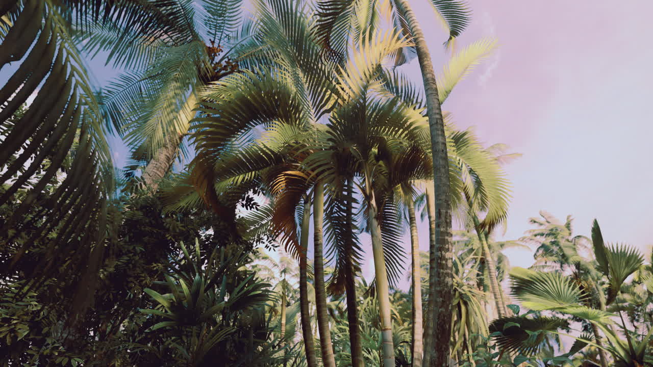 Lush tropical palms sway under a pastel sky at twilight in a serene garden