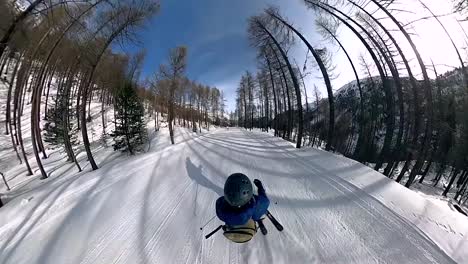 Skiier-peacefully-riding-a-woodland-slope