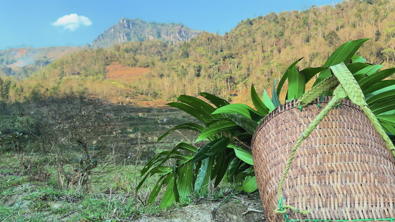 Fixed shot of a basket full of medicinal herbs with majestic mountains in the background at Tả Phìn, Sa Pa.