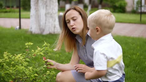 A-little-boy-is-interested-in-a-green-bush.-Touching,-sniffing-it.-Mom-talks-to-her-son,-explains.-Green-park.-Slow-motion