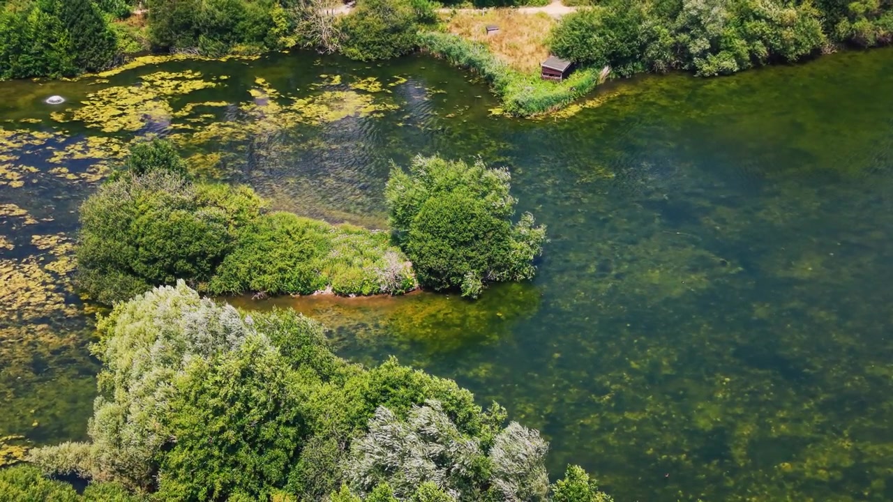 Imágenes aéreas de dron en picado con vistas a un lago de agua dulce con islas cubiertas de árboles, plantas acuáticas sumergidas y vegetación flotante en la Reserva Natural de Langford Lakes
