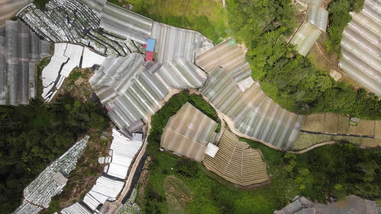 말레이시아의 카메론 하이랜드 지역 내의 브린창 지역의 일반 풍경