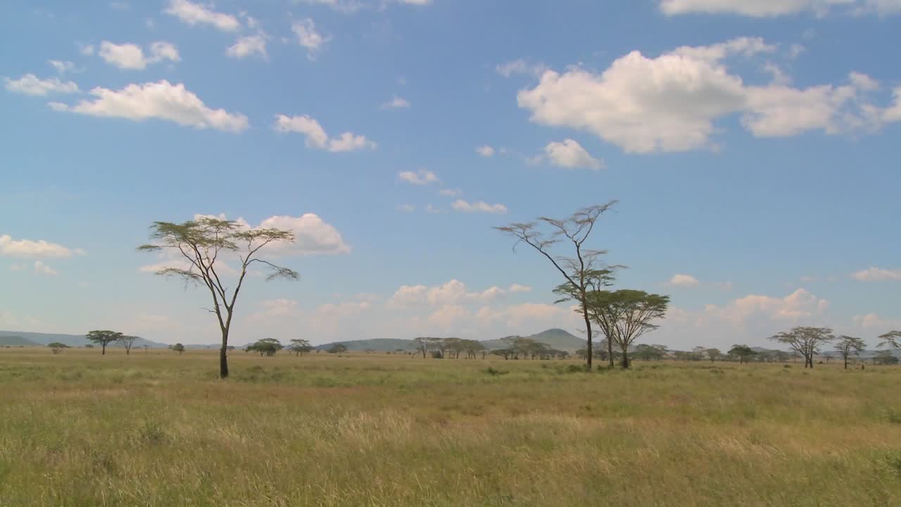 Clouds linger over the Serenegti plain in Africa