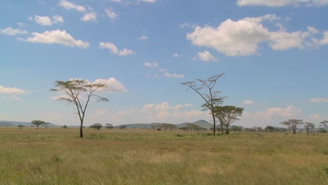 Las-Nubes-Permanecen-Sobre-La-Llanura-De-Serenegti-En-África