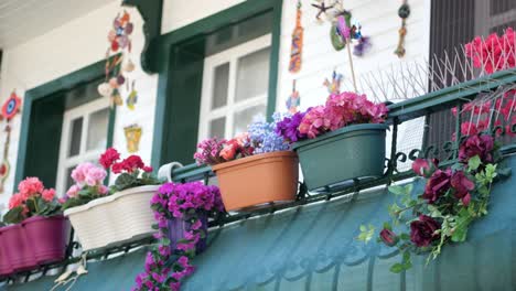 flowers on a balcony