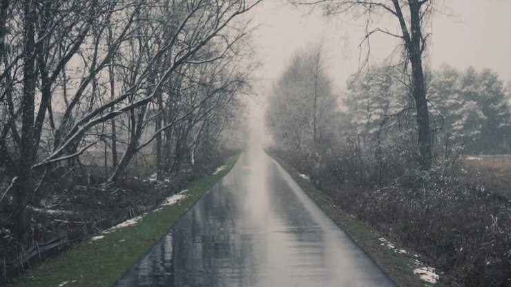 Schneeflocken fallen auf eine nasse Straße durch einen Winterwald