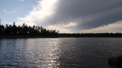 Ramas-Oscuras-Del-Bosque-Recortadas-Contra-El-Cielo-Azul-Y-Las-Nubes