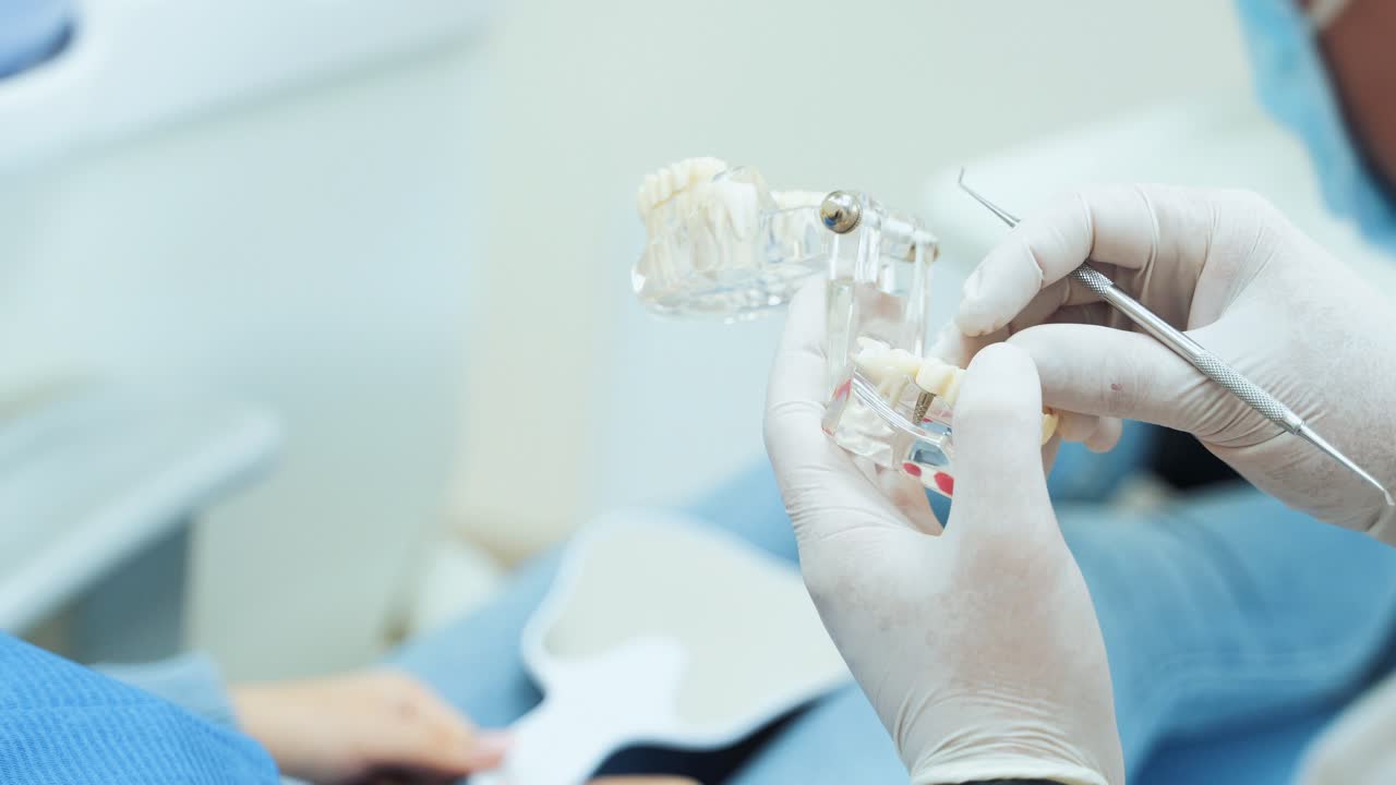 Layout of the jaw with removable dentures in the hands of a dentist
