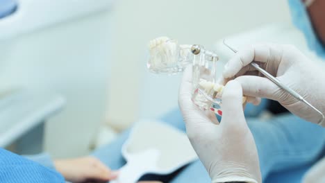 layout of the jaw with removable dentures in the hands of a dentist