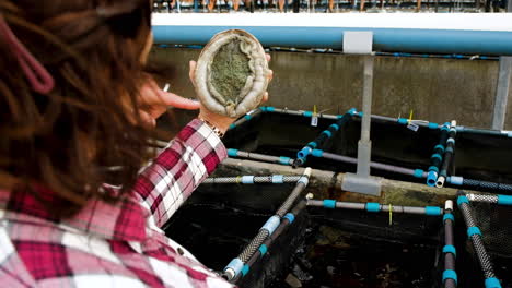 Woman-holds-South-African-abalone-or-perlemoen-in-one-hand-above-tank,-while-guide-explains-anatomy