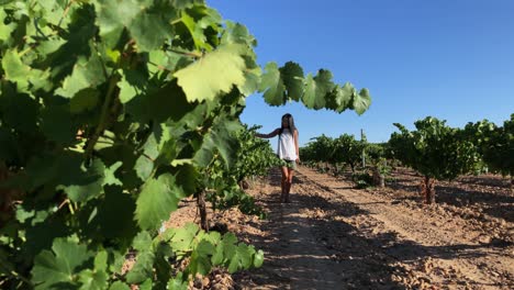 Mujer-Caminando-Por-Los-Viñedos-Y-Tomando-Un-Vino-Sentado-En-Una-Mesa-3