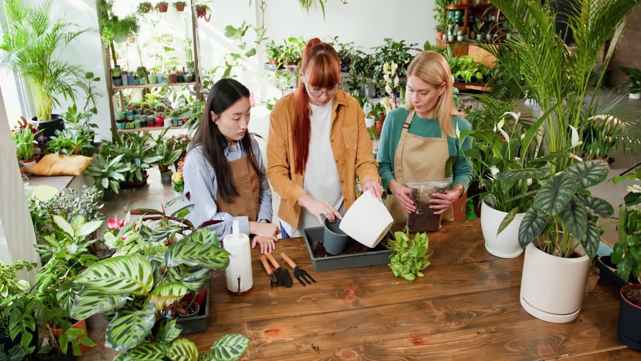 mujeres repotando plantas en un centro de jardinería