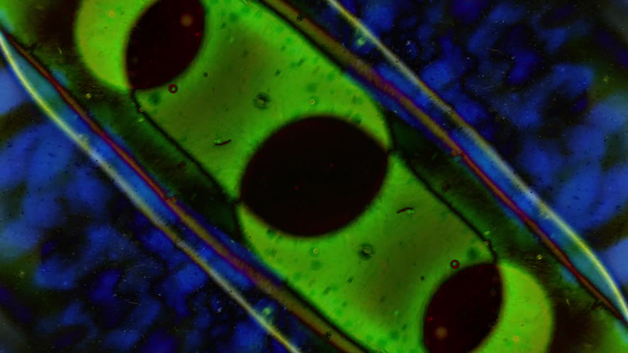 patrones abstractos de pinturas