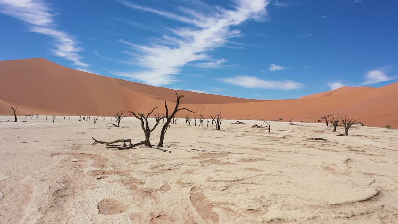 Close up drone flight through the Deadvlei in Namibia