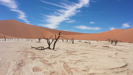 Close-up-drone-flight-through-the-Deadvlei-in-Namibia