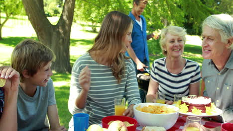 Family-having-picnic-in-the-park