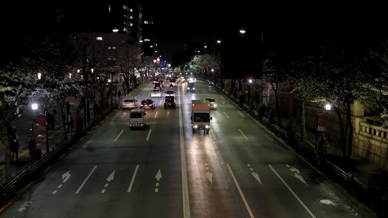 도쿄 최고의 벚꽃