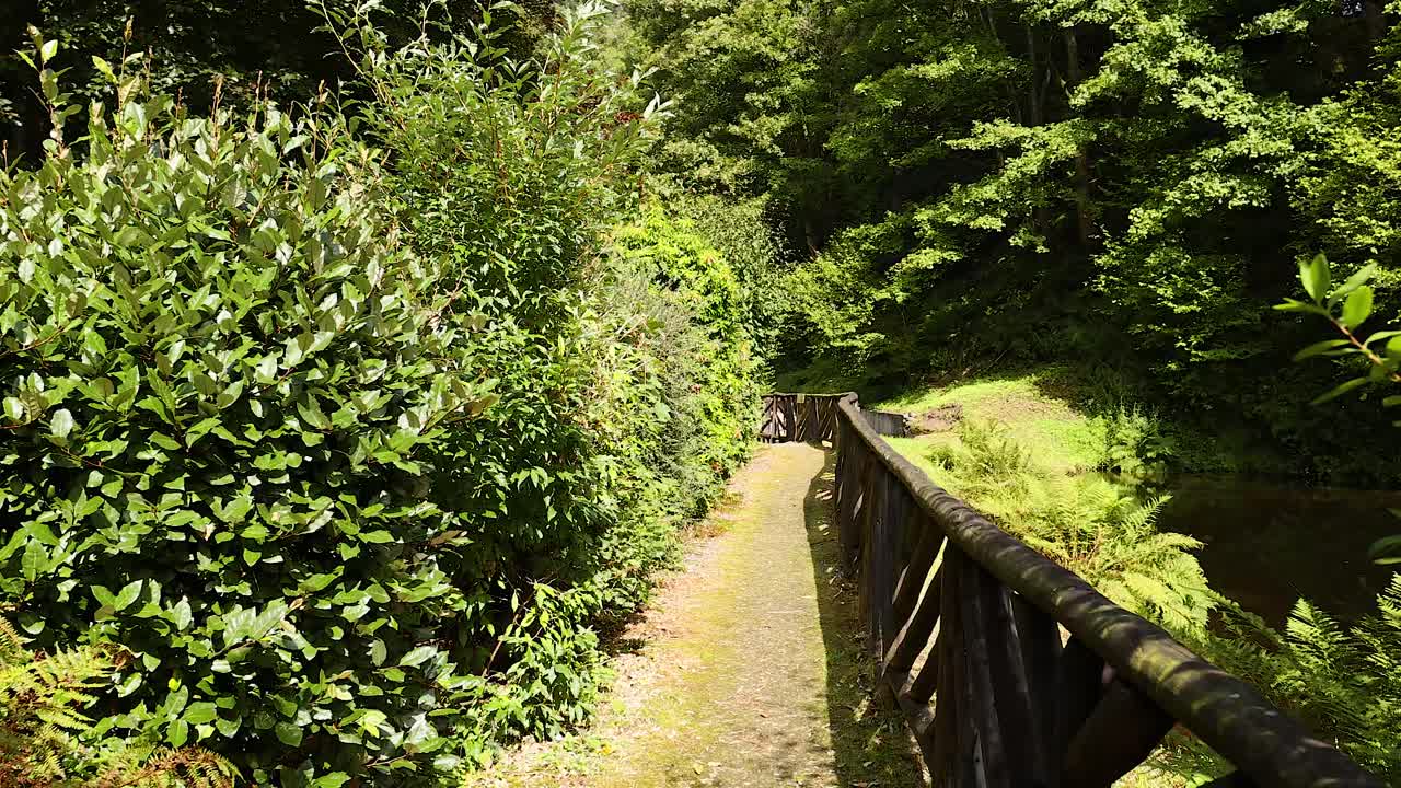 울창 한 초록색 과 나무 다리 를 가로지르는 경치 좋은 길