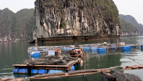 vista de los estanques flotantes en la bahía de halong, vietnam