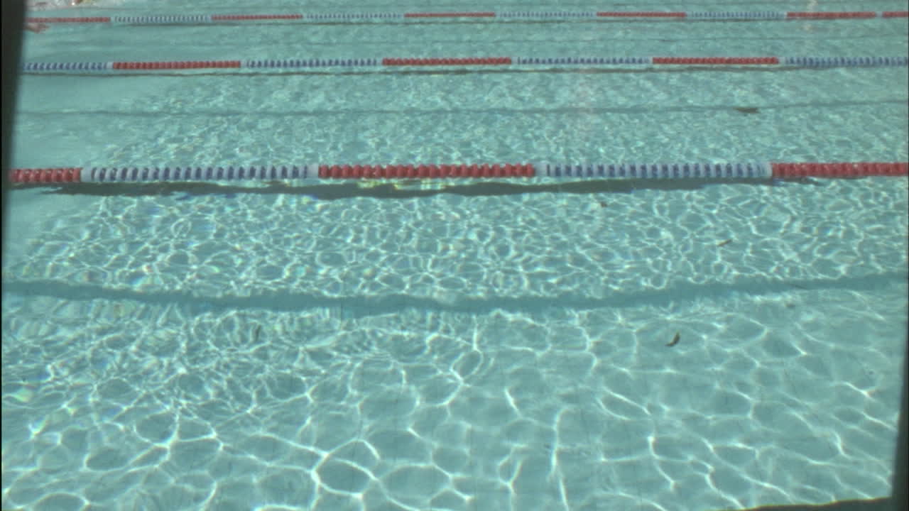 Nadadoras competem em uma piscina 1