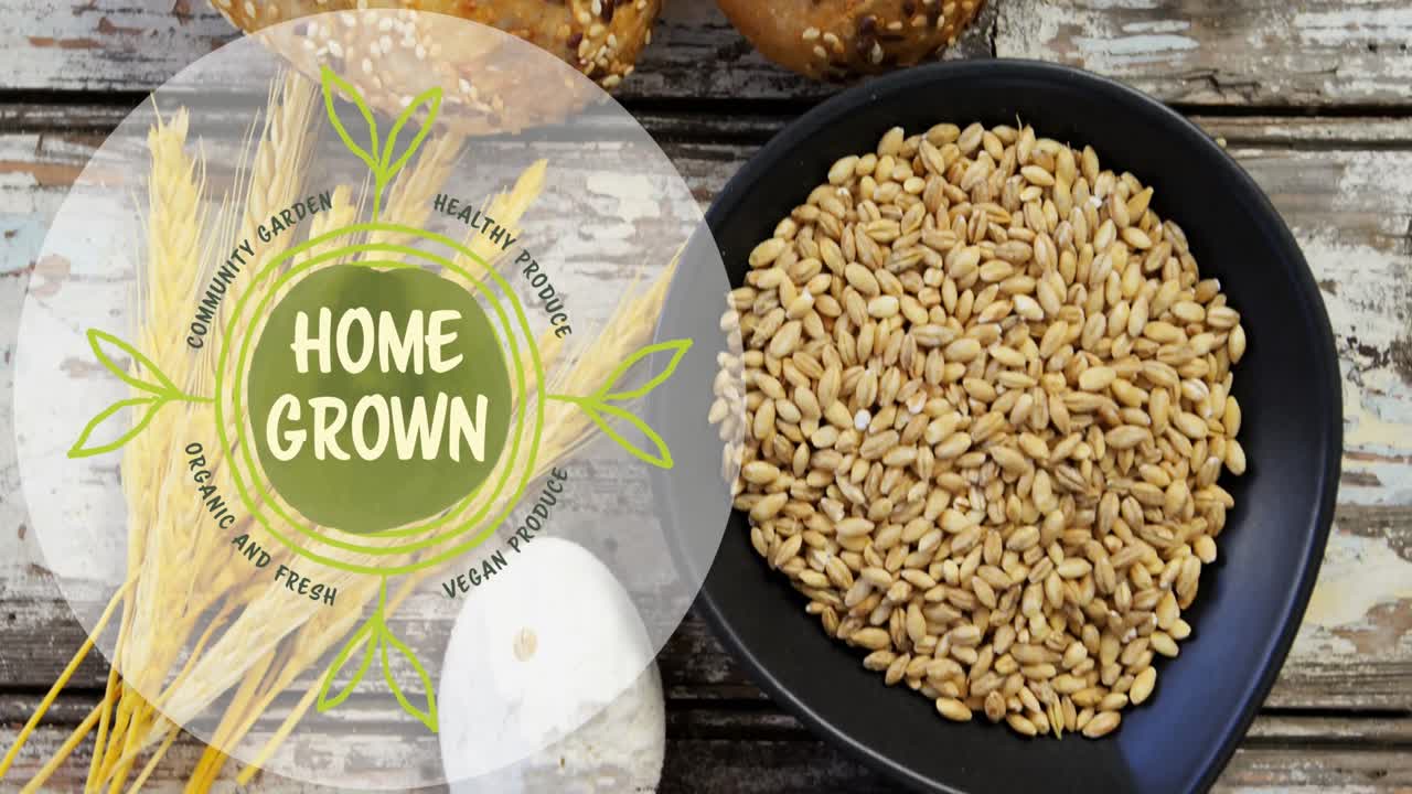 신선한  ⁇  위에 집에서 재배 된 텍스트의 애니메이션