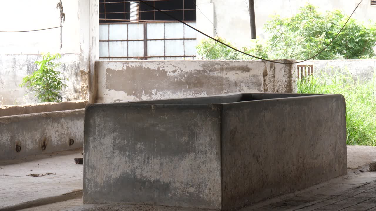 вид изнутри на заброшенную молочную ферму со зданием для скота и бетонным ограждением водоема