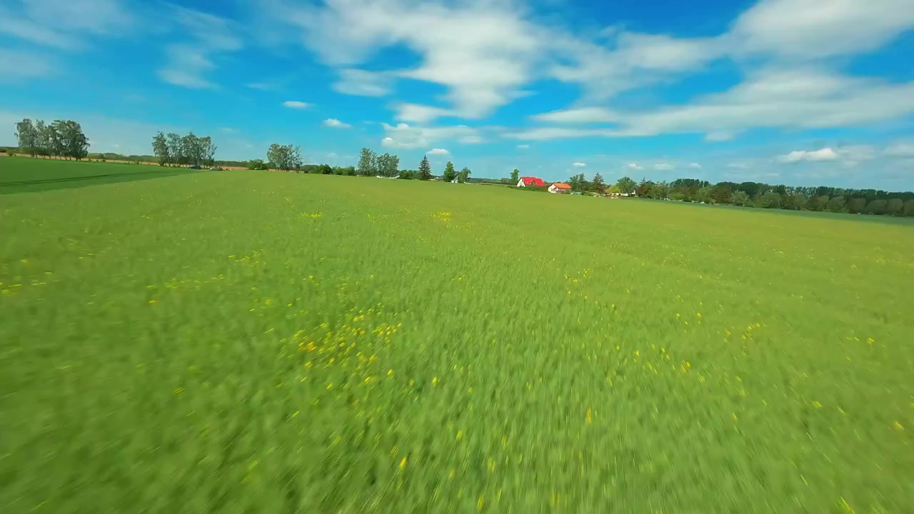 Dynamic aerial FPV footage racing low over lush green agricultural fields and wildflowers. Ideal for sustainability, ecofriendly farming, and naturethemed content.