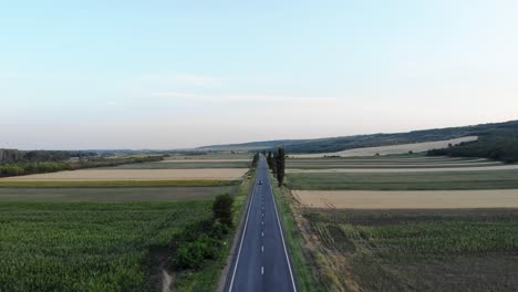 Carretera-Entre-Campos-Agrícolas-Verdes-Con-Coche-De-Conducción---Toma-Aérea-De-Drones