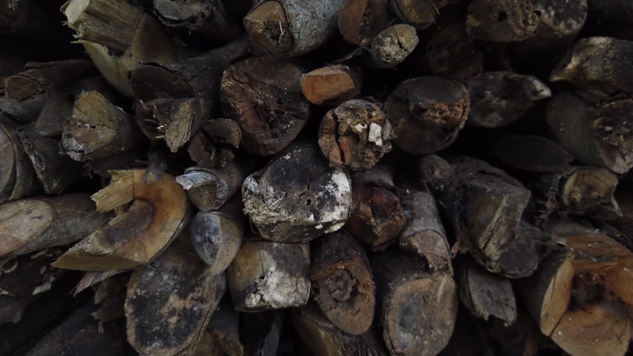 кадр из кучи нарубленных дров в разрезе