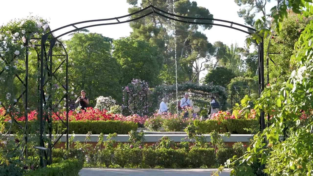 Beautiful Rose Garden with Fountain