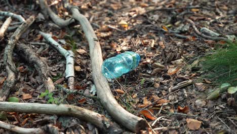 plastic bottle litter in forest