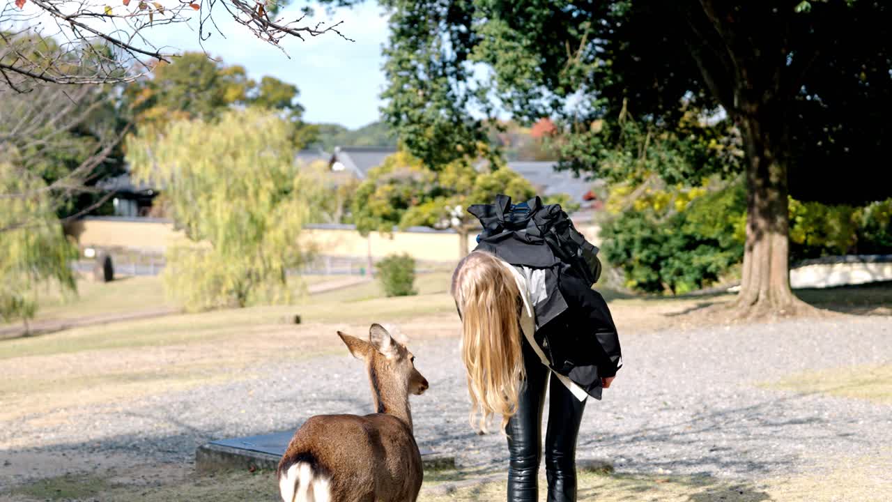 A charming moment in Nara Park, Japan, where a girl and a deer share a greeting.