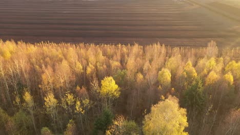 Aerial-view-of-the-large-wide-brown-peat-field-in-Kaunas-county,-Lithuania