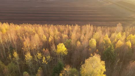 aerial view of the large wide brown peat field in kaunas county, lithuania