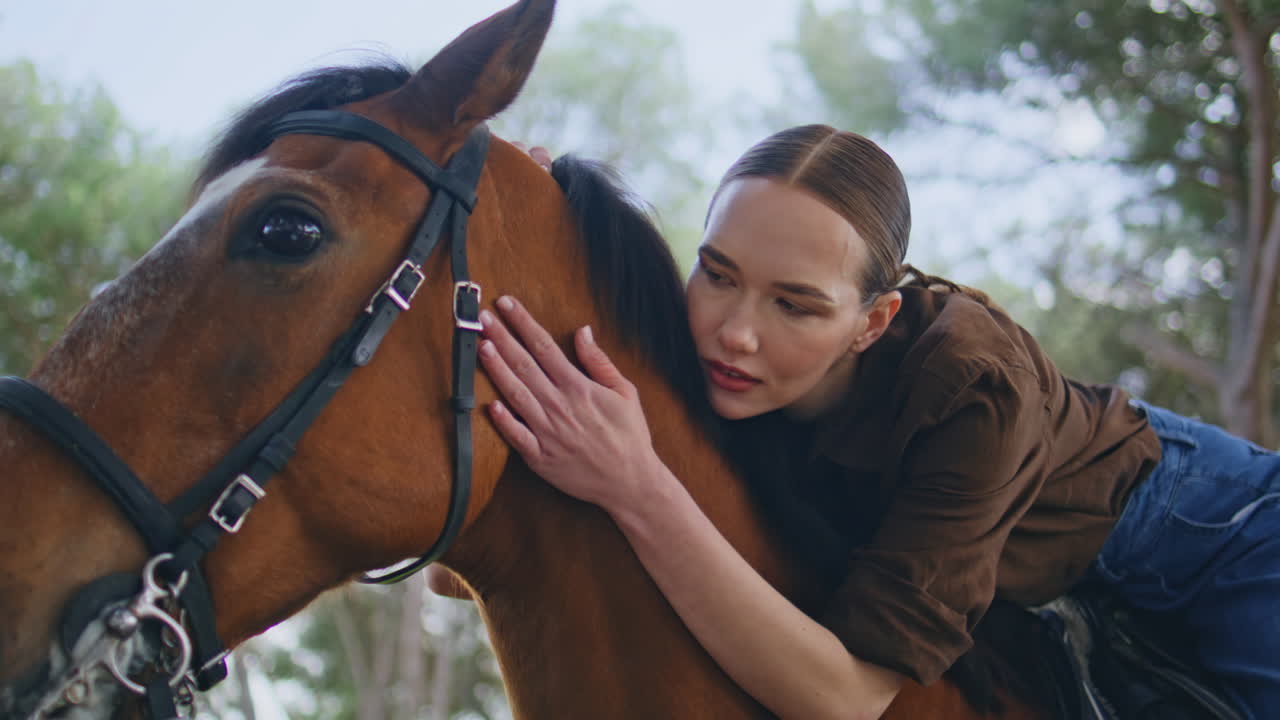 Equestrienne sitting horse stroking head woodland closeup. Woman embracing pet