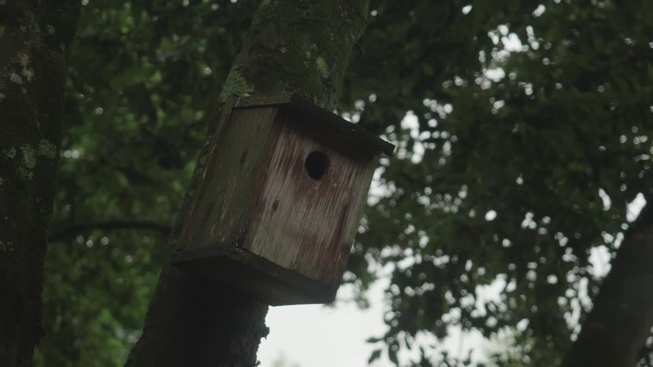 Rustic Wooden Bird Box Attached To Tree In Garden. Low Angle