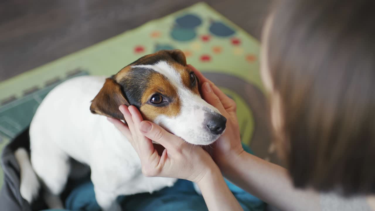 한 여자 가 개 의 머리 를 부드럽게 만지고