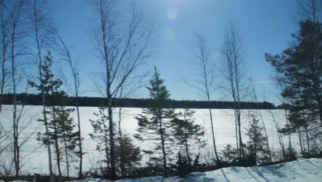 snow covered finnish landscape with trees in foreground during a bright winter sun, train journey pov from vuokatti to finland