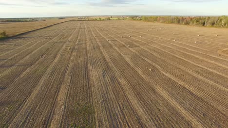 Vista-Aérea-De-Un-Campo-Cosechado-Y-Grandes-Pacas-Redondas-De-Paja-Con-Drones-Volando-Hacia-Atrás