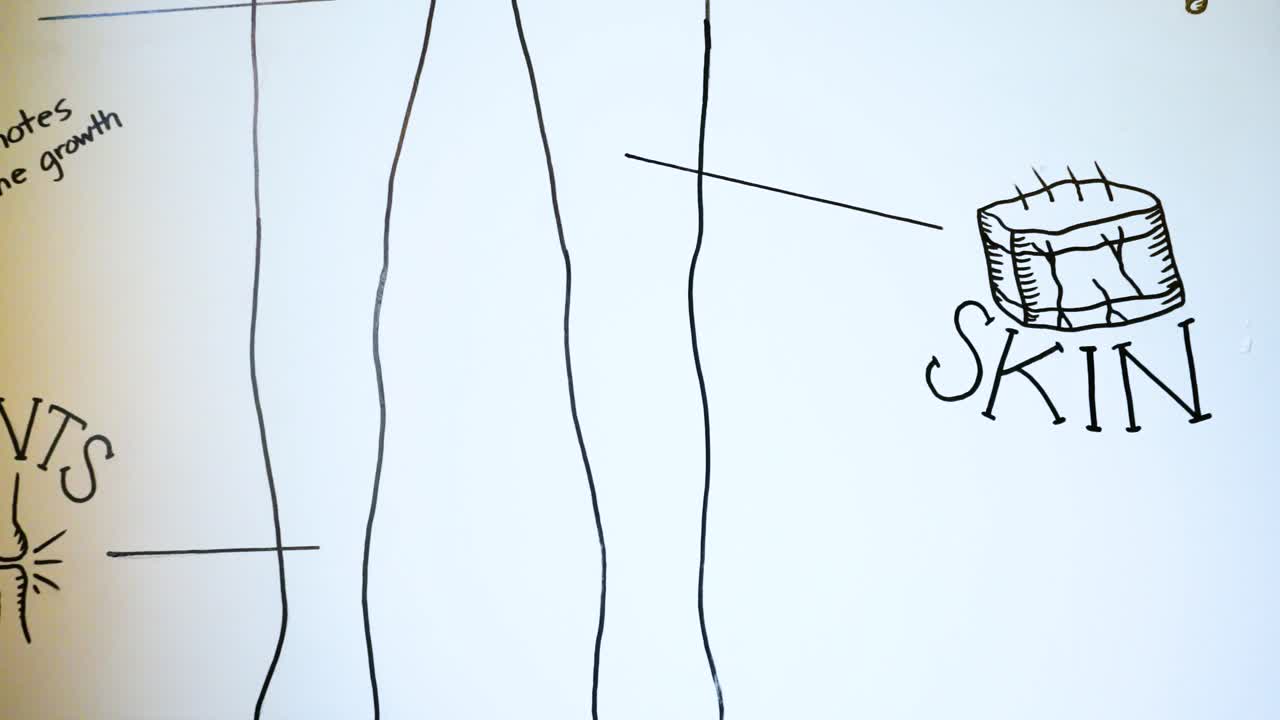 cbd 혜택 도표 닫기 - 피부, 항산화제, 풍부한 비타민, 항염증제