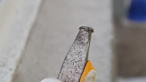 tirador de clavos oxidado