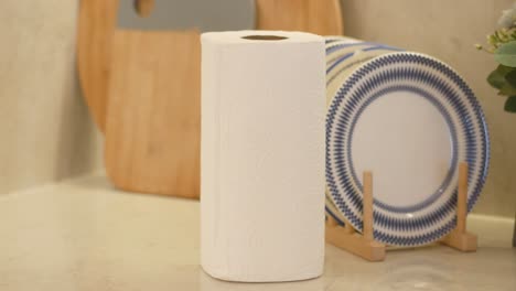 kitchen paper towels and dishes