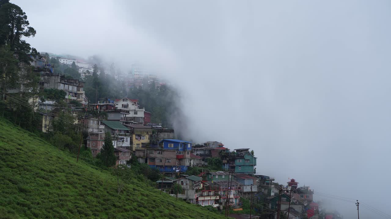 Giardini di tè, paesaggi e diversità geo-naturale nei dintorni di Darjeeling